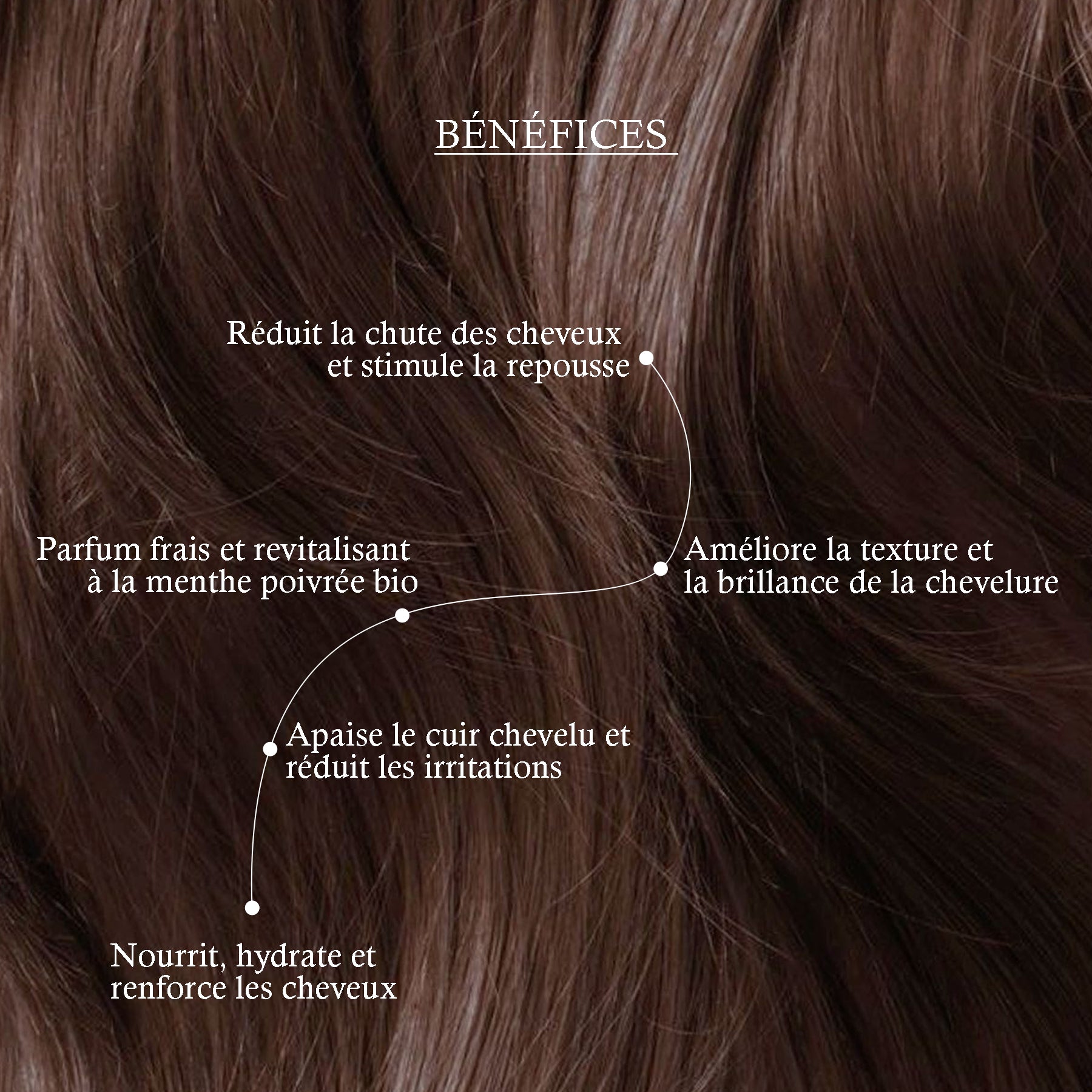 DERMI BLUEBERRY HAIR OIL