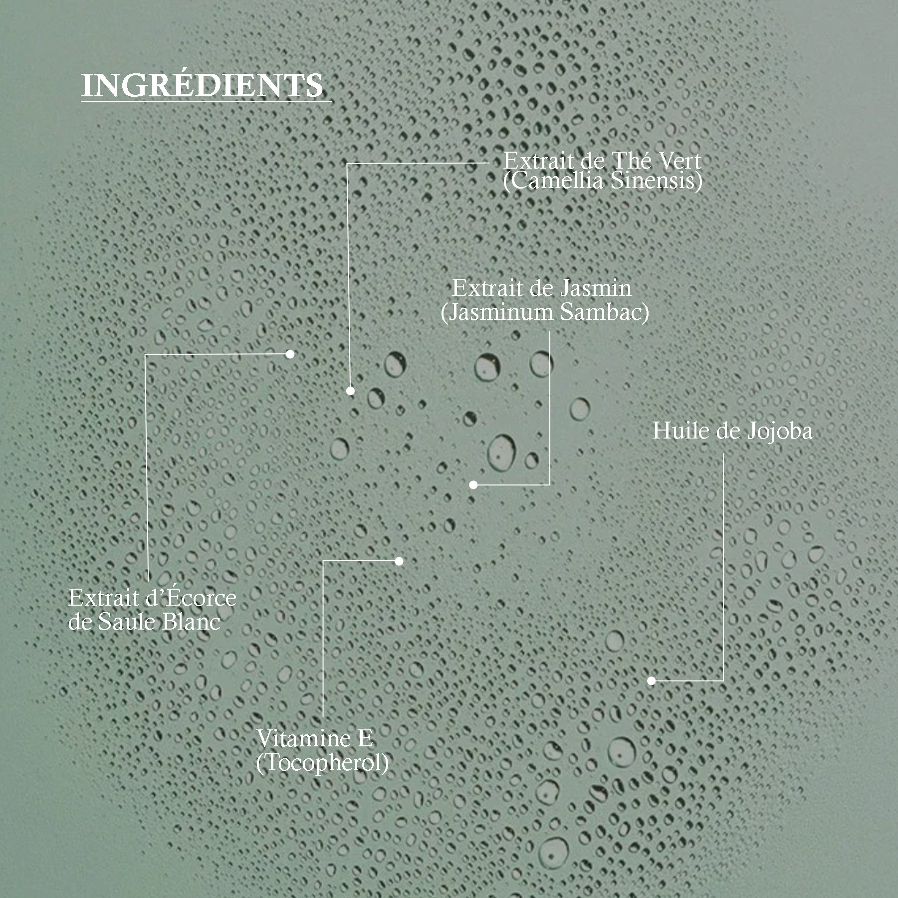 JASMINE GREEN TEA TONER