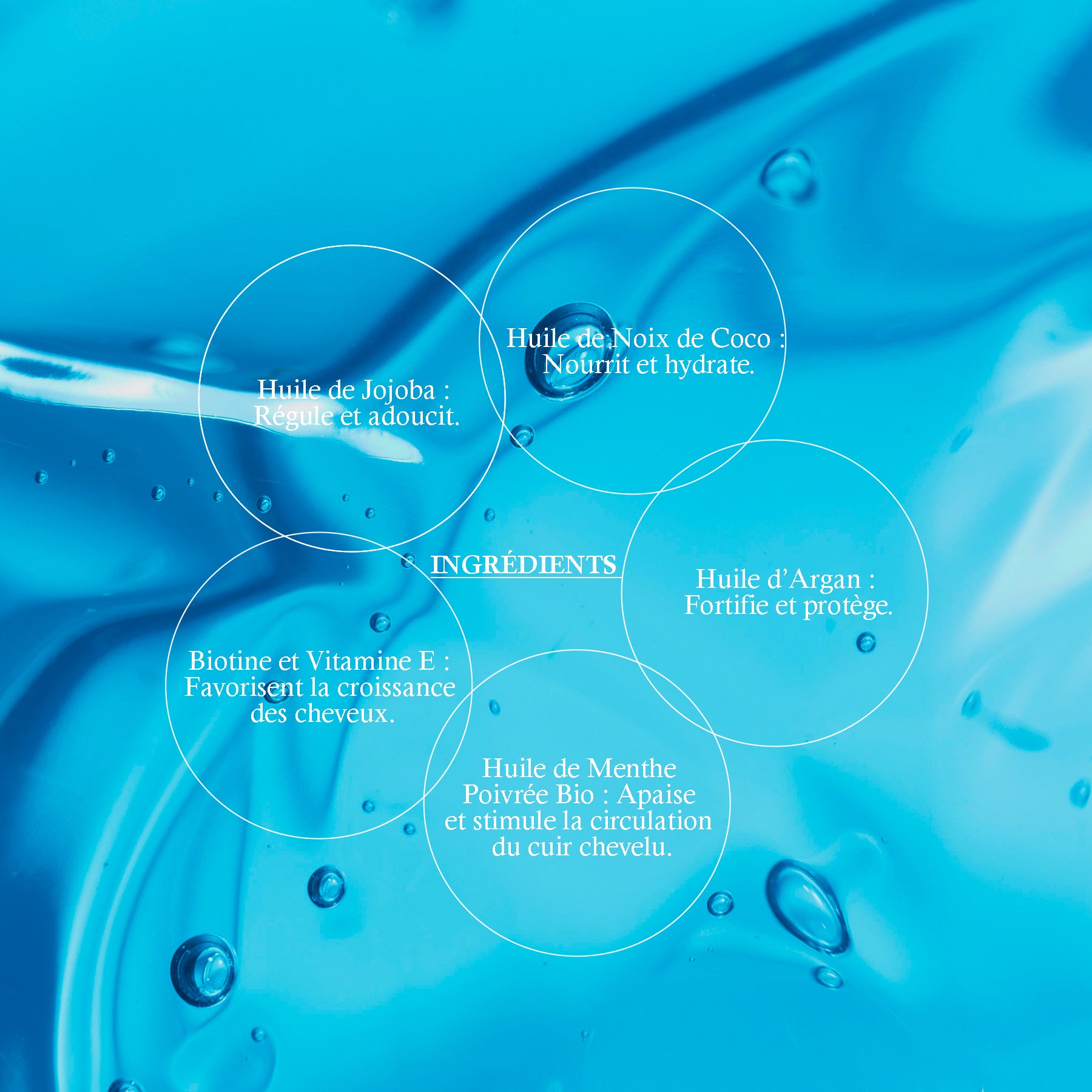 DERMI BLUEBERRY HAIR OIL