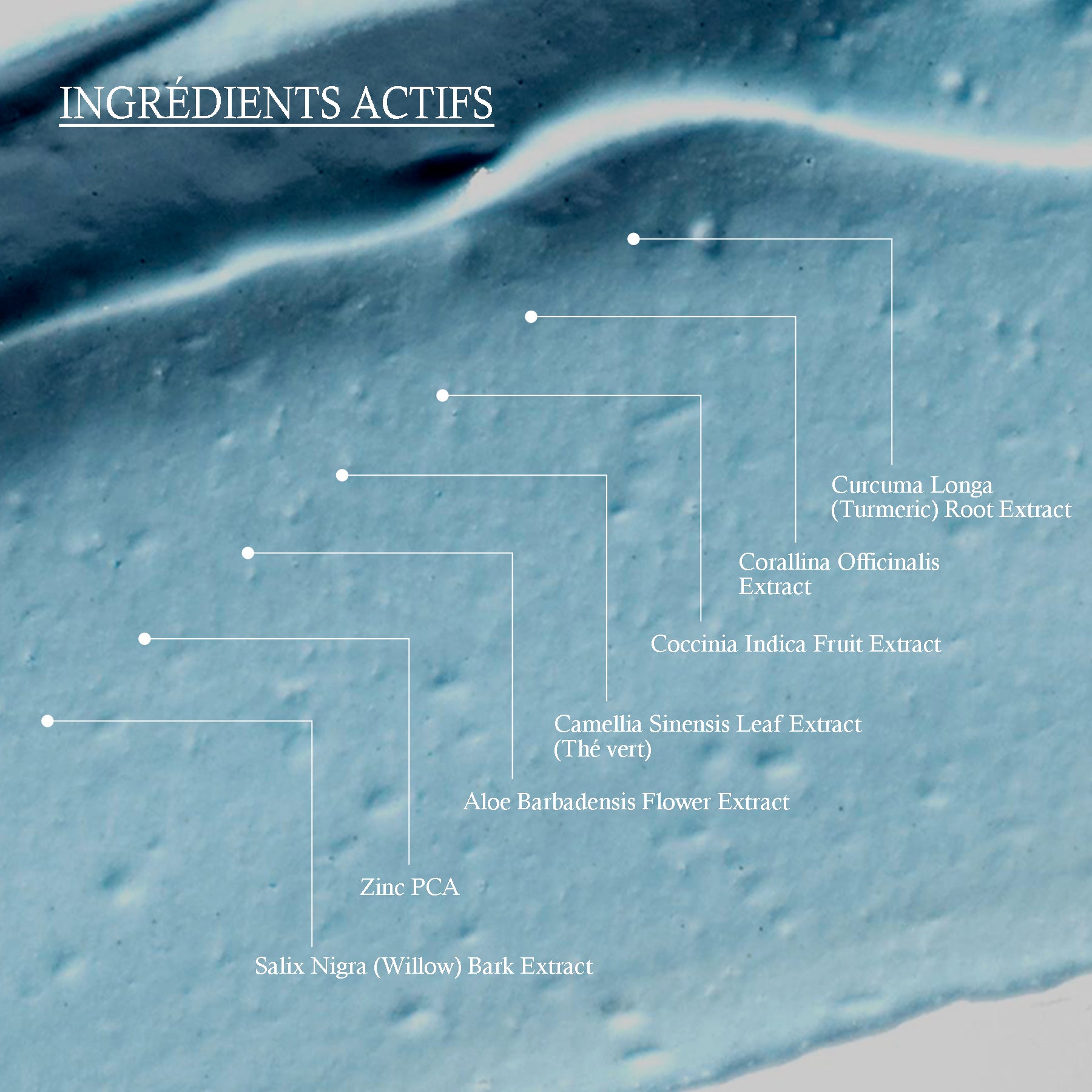 huile essentielle blue tansy