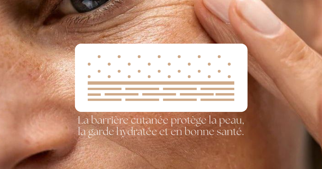 Barrière cutanée endommagée : pourquoi tout le monde en parle en 2026 ?