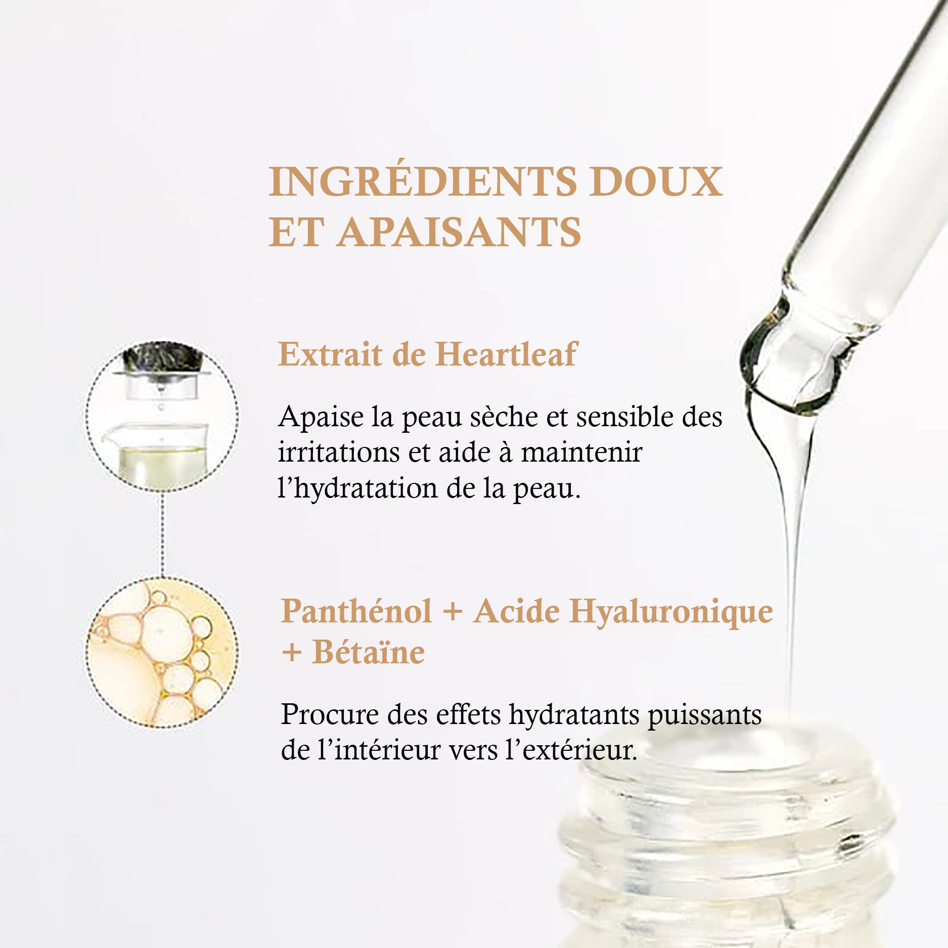 Anua Ampoule Apaisante Heartleaf 80%