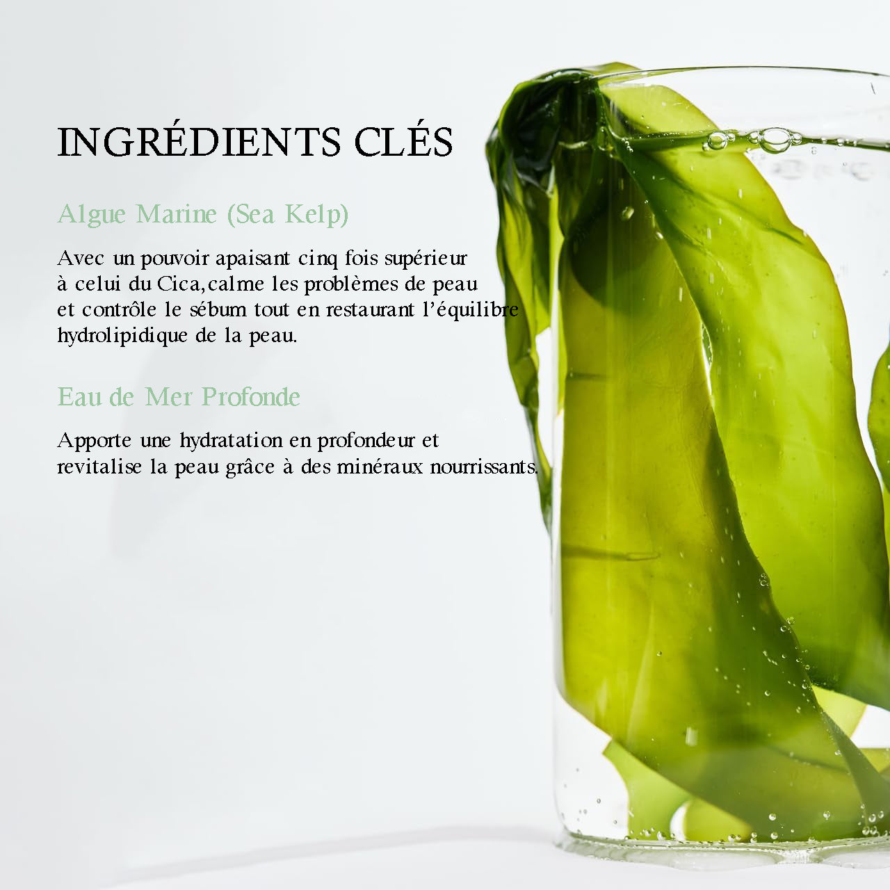 Biodance Refreshing Sea Kelp Real Deep Mask