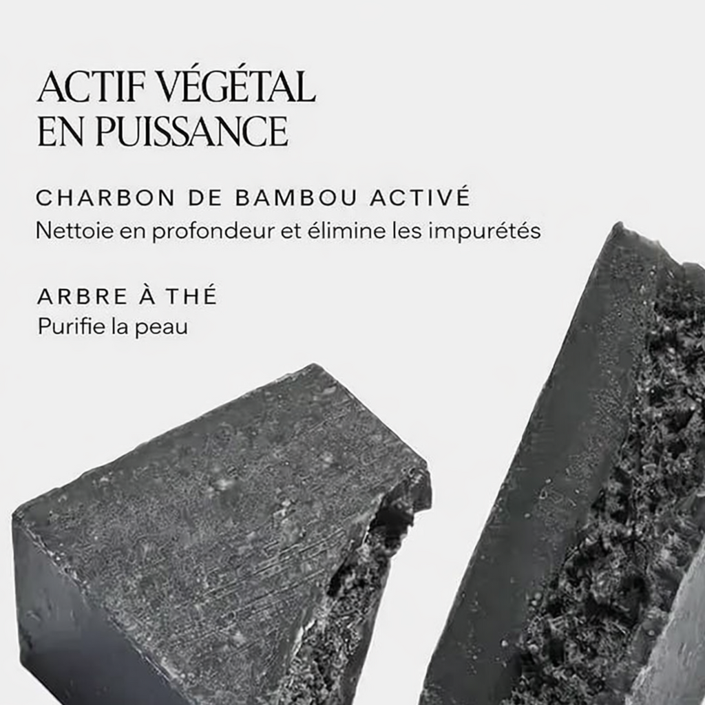 Charbon debanbou active