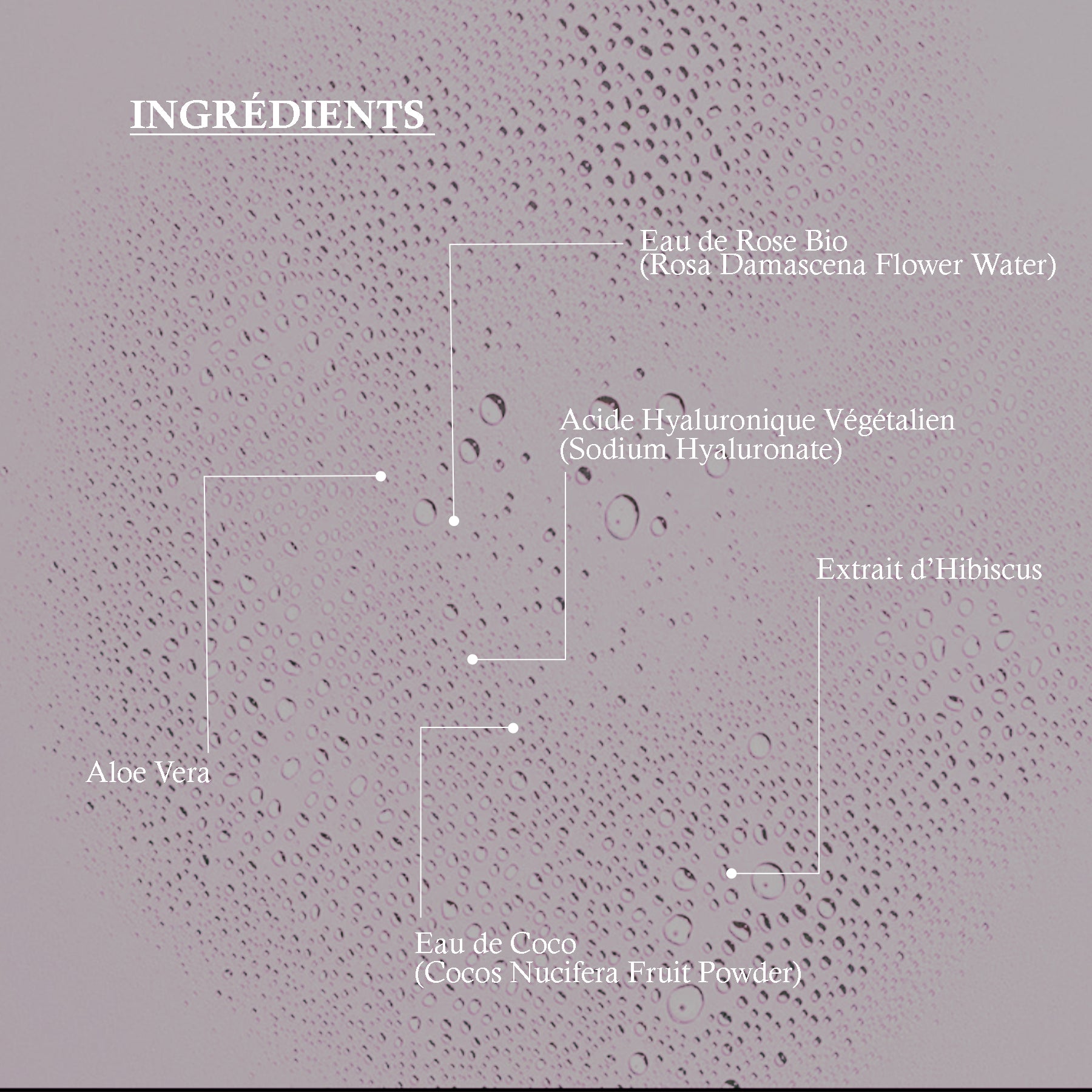 ROSE WATER SPRY